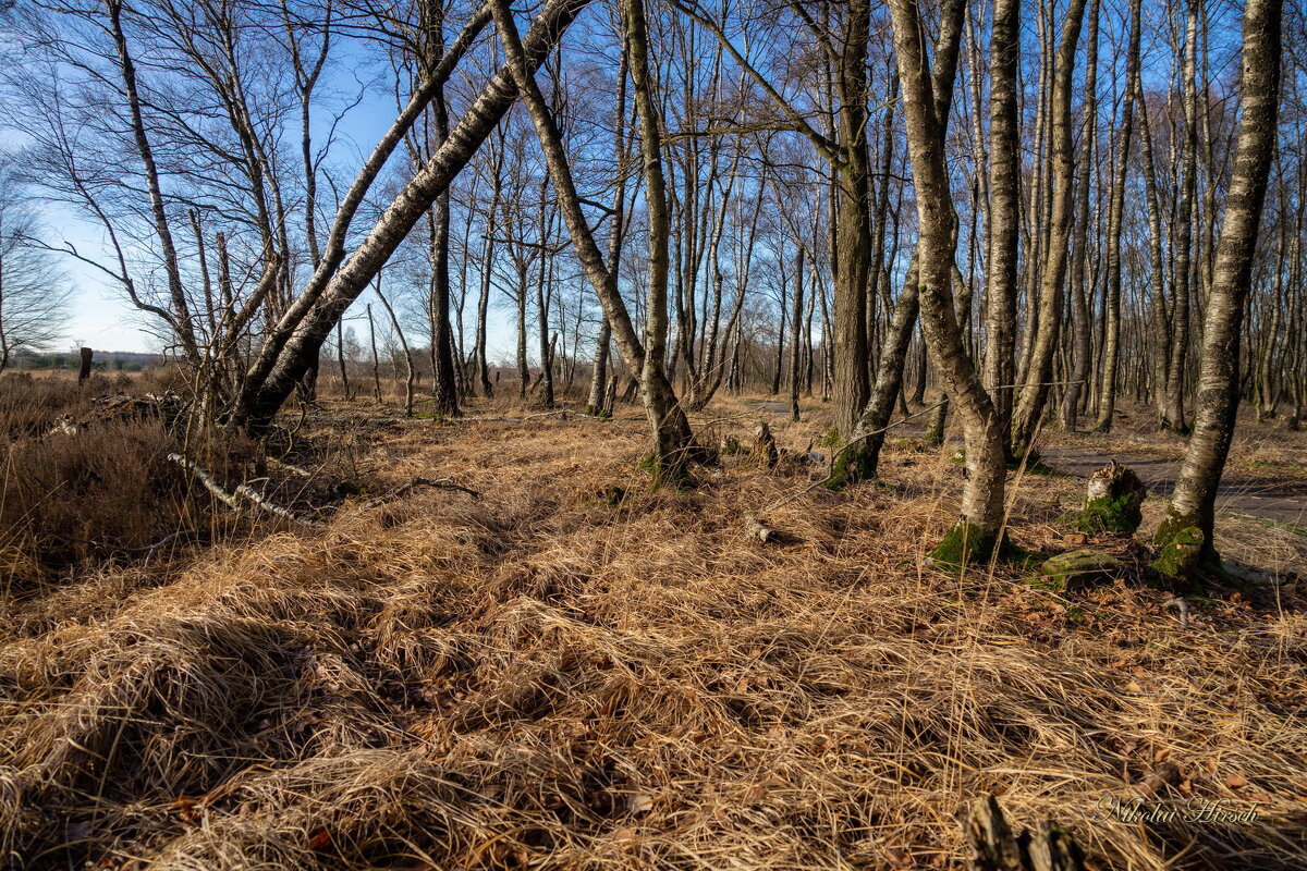Заповедное... - Николай Гирш