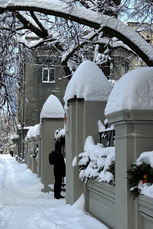 Снежная зима - Мария - Maria