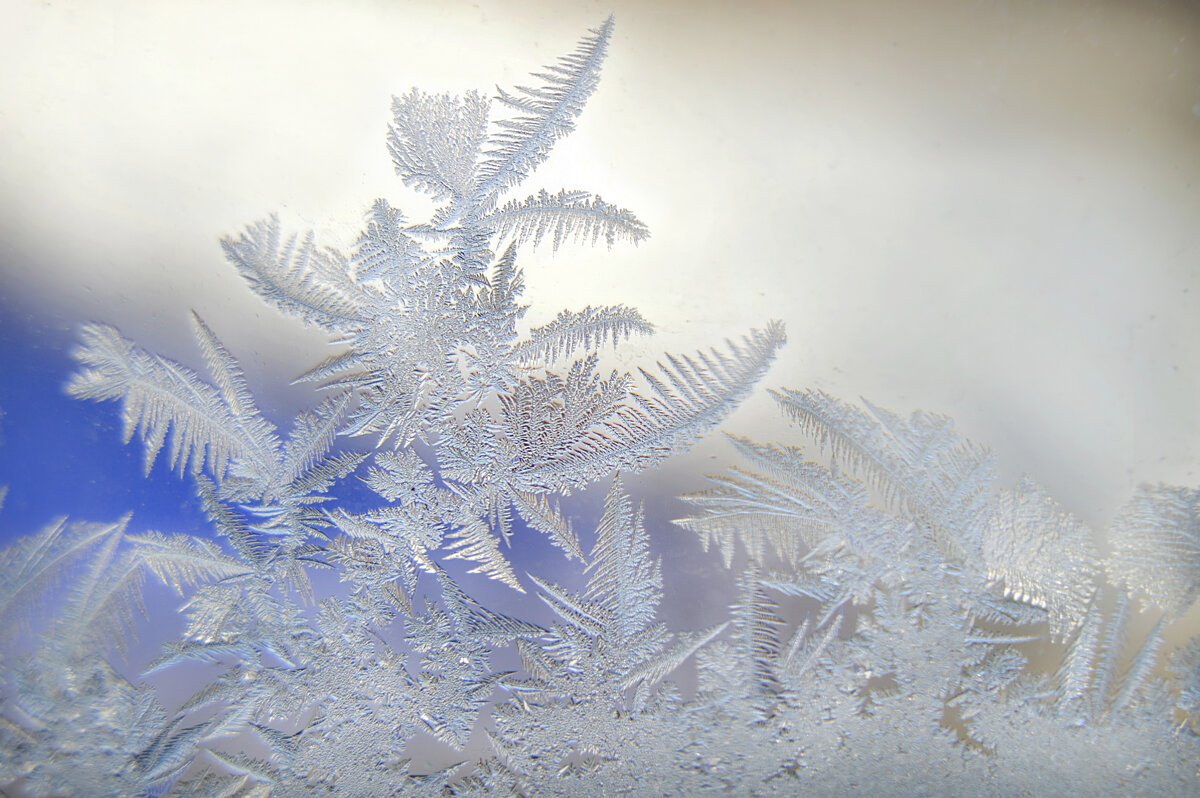 *** - Надежда Куркина 