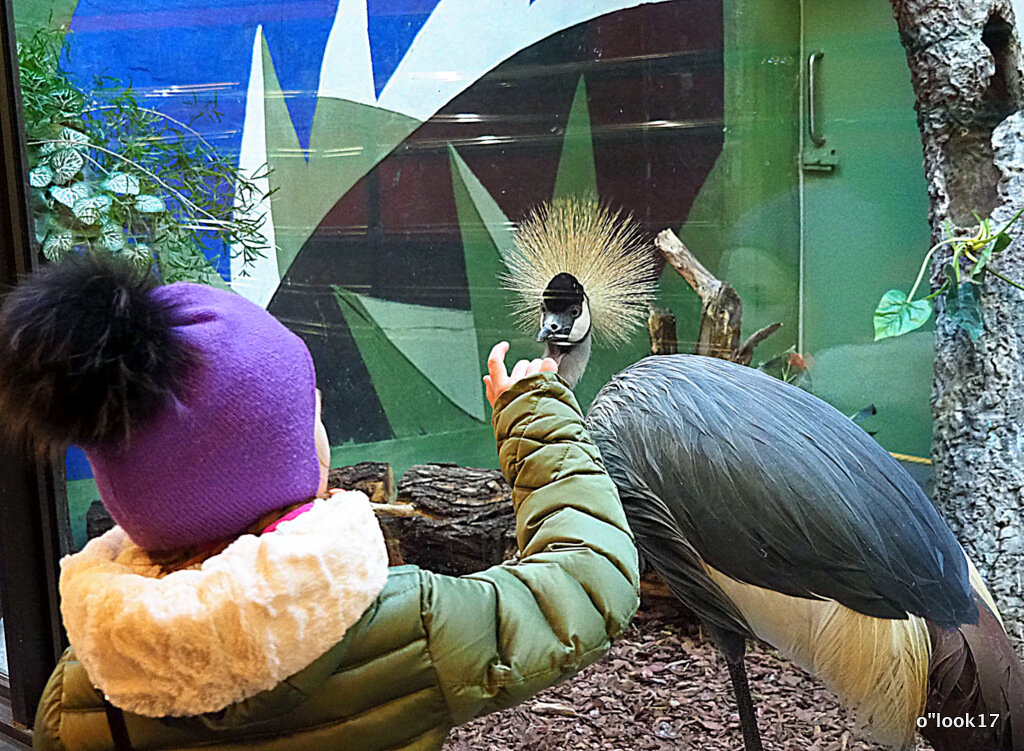 общение - Олег Лукьянов