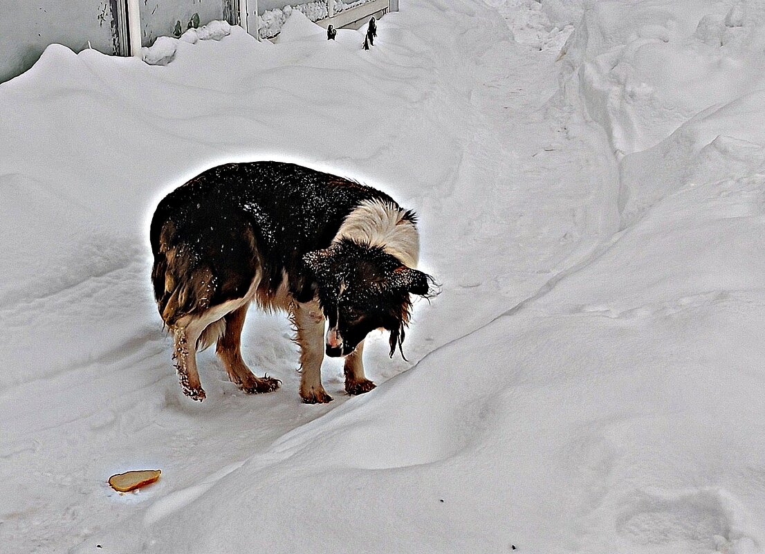 такая доброта.... - Любовь 