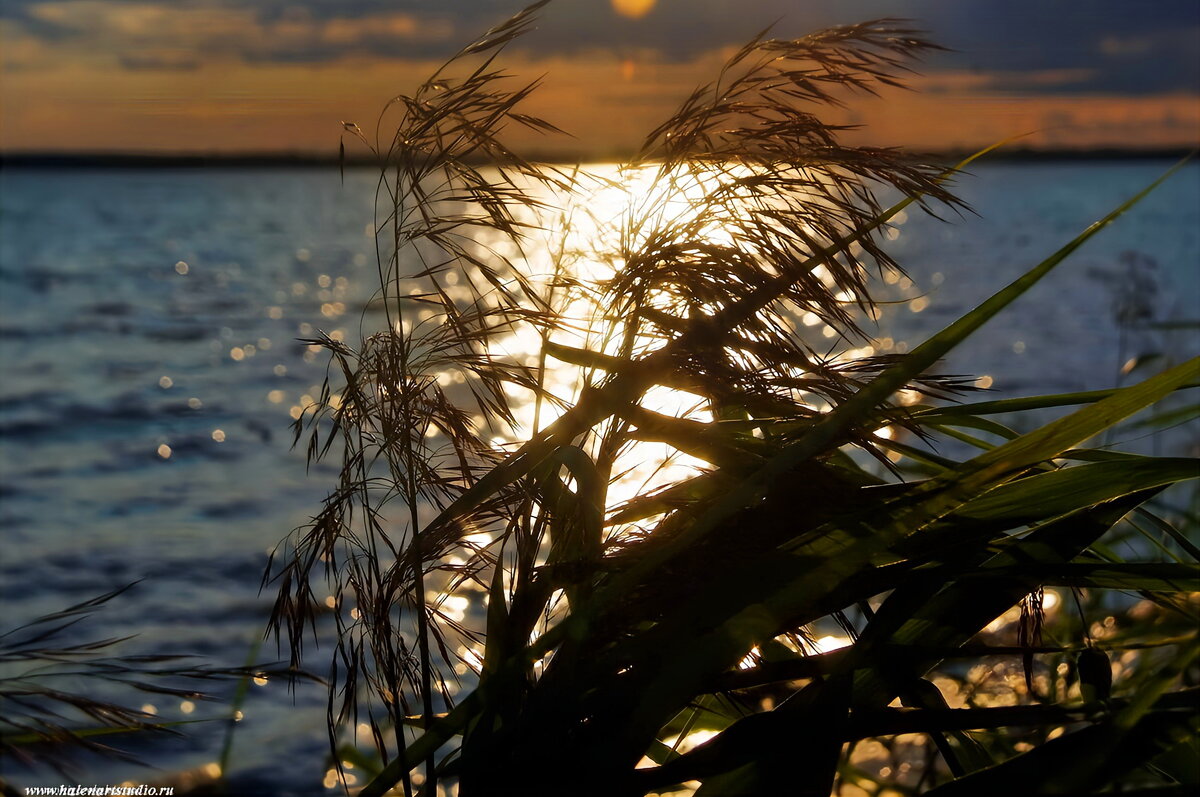на берегу Северной Двины - Игорь Корф