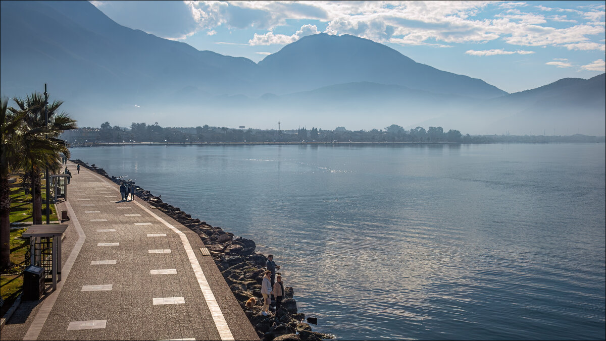 Утро - **** vedin