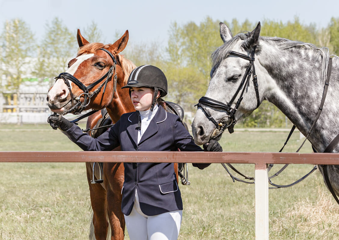 Конкур - SanSan 