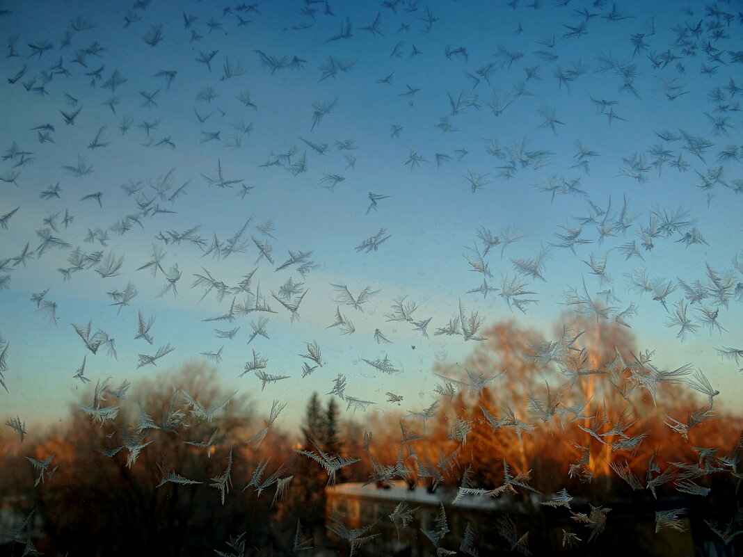 Ангелы - Maria Rainer