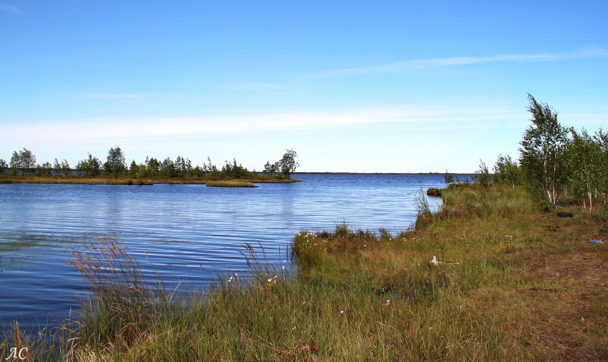 Водоёмы Сургутского района (серия) - Любовь Сахарова