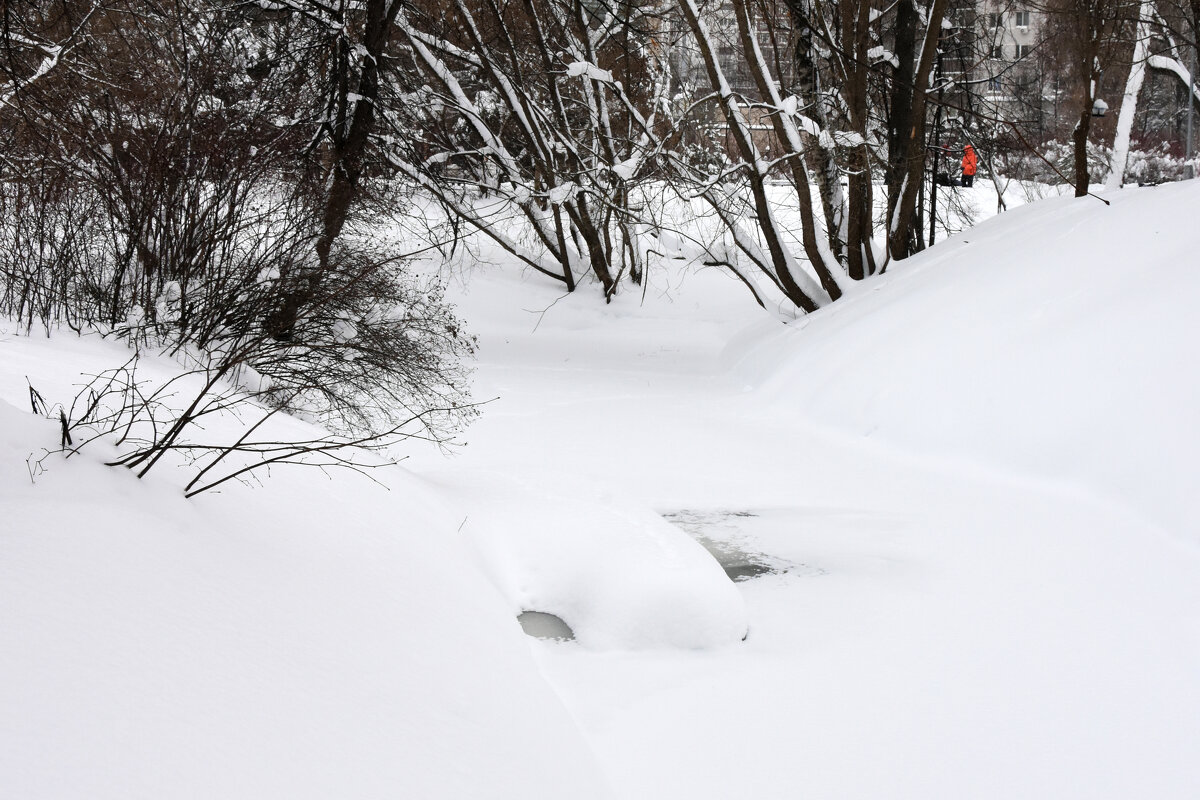 Москва. Воронцовский парк. - Наташа *****