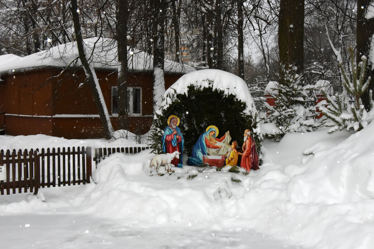 Москва. Воронцовский парк. Рождественский вертеп. - Наташа *****