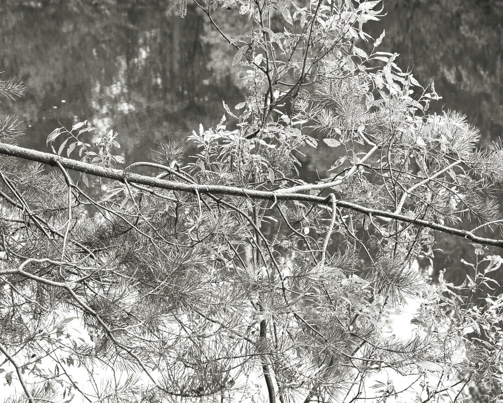 Фотография - Денис Безногов