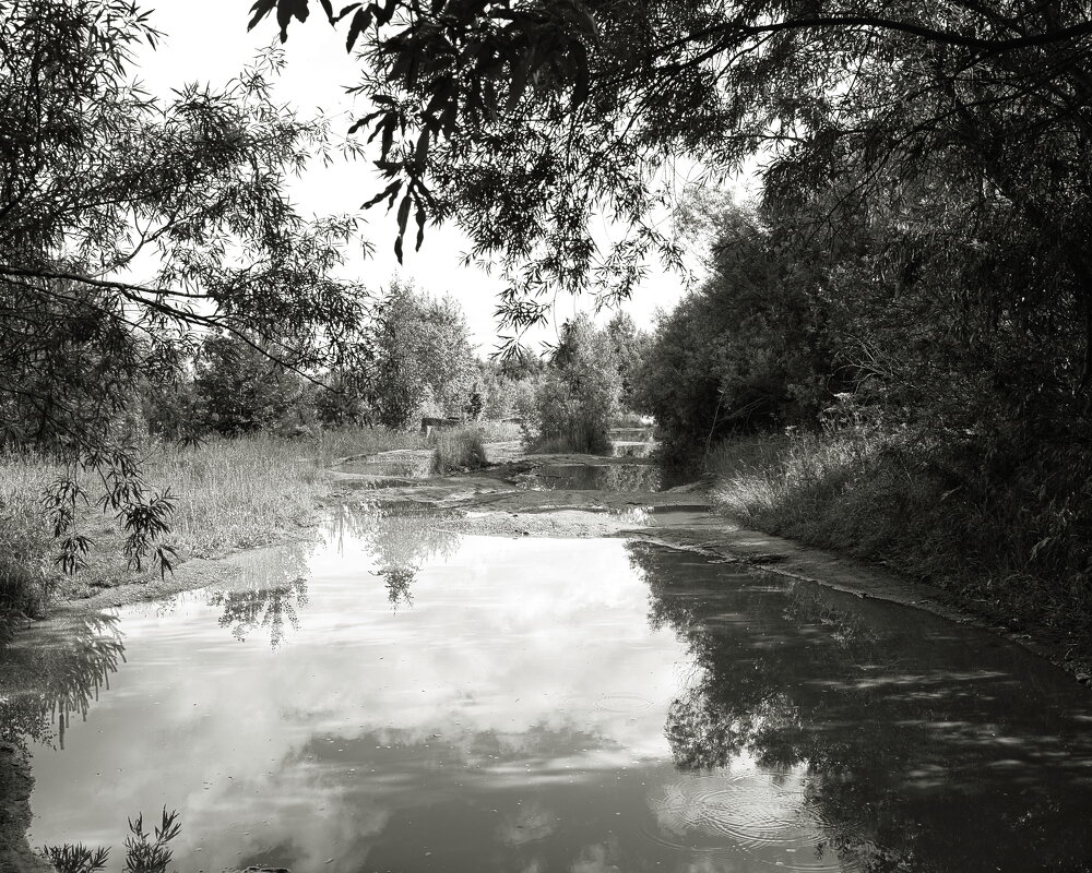 Фотография - Денис Безногов