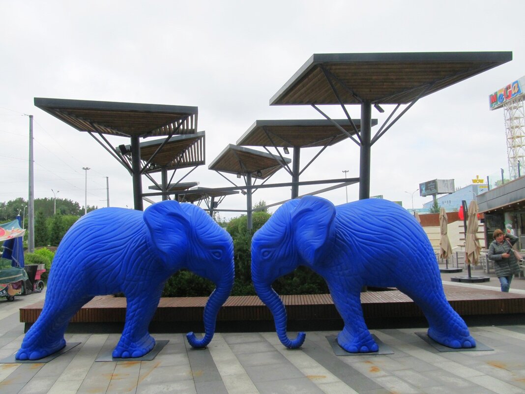 Мега ТЦ .Екатеринбург - Елена Шаламова