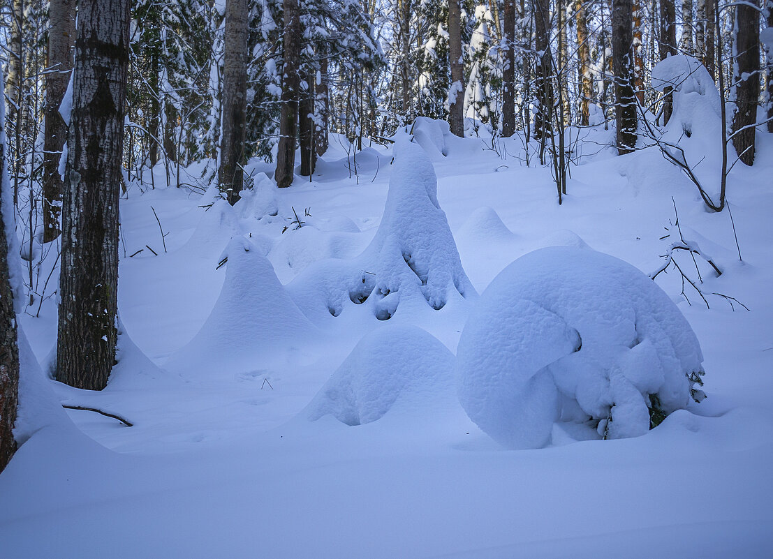 Закутанные снегом - Сергей Цветков