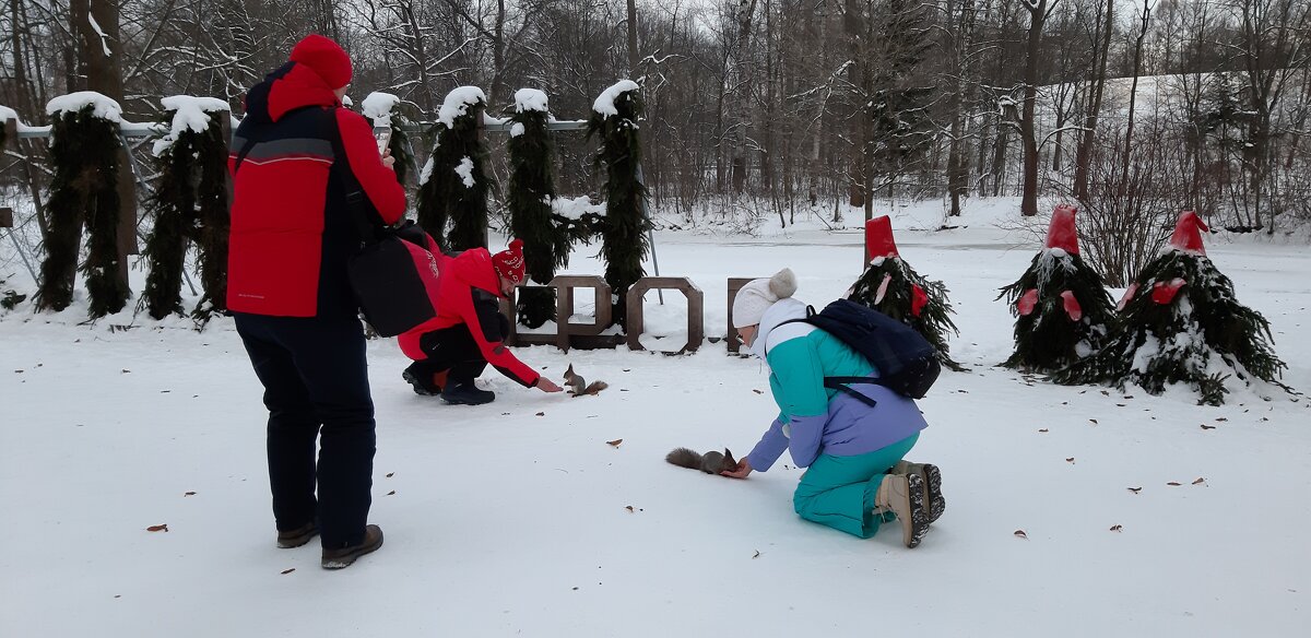 Белочки Елагина острова - Ольга 