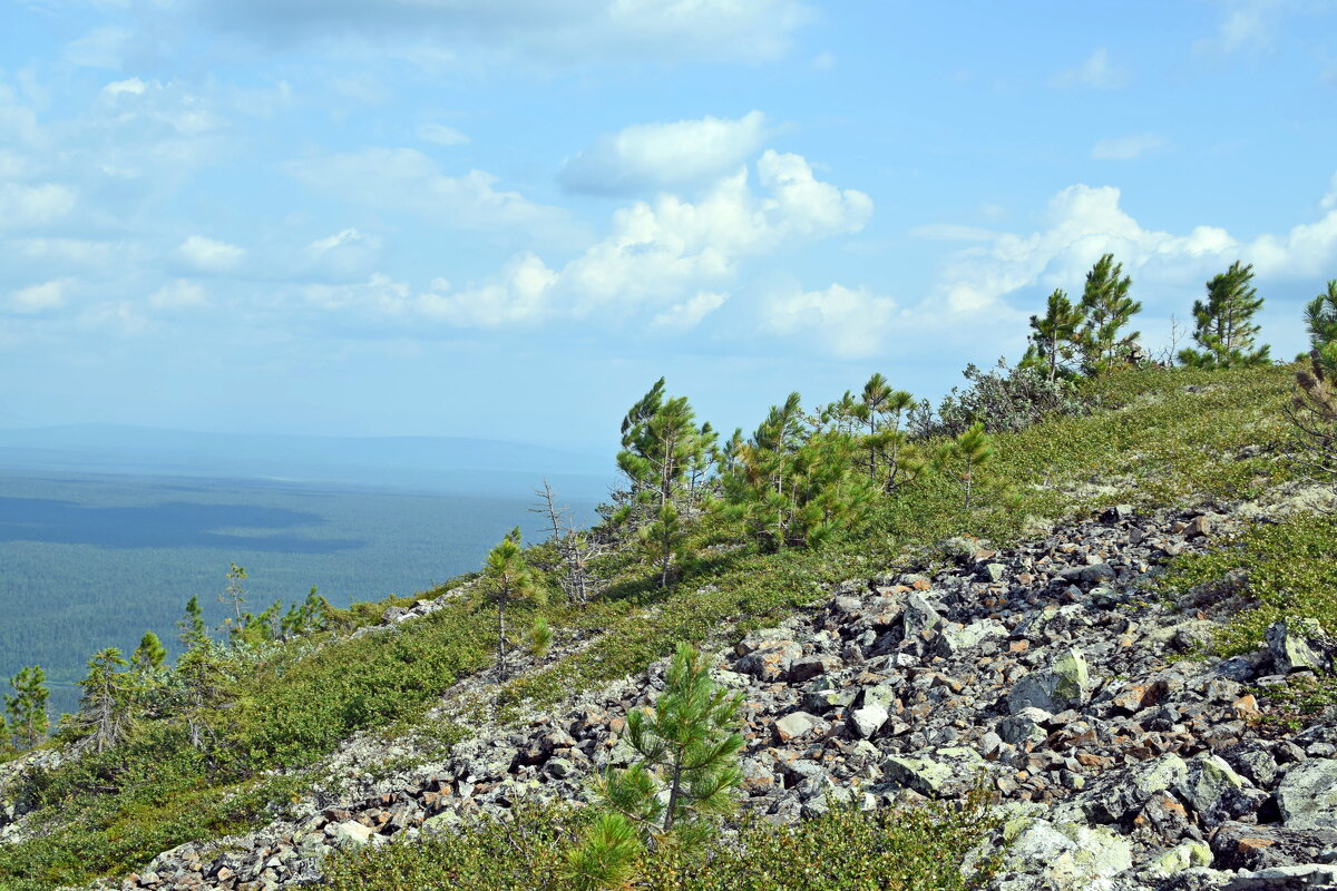 Склон Тима из. - ВикТор Быстров