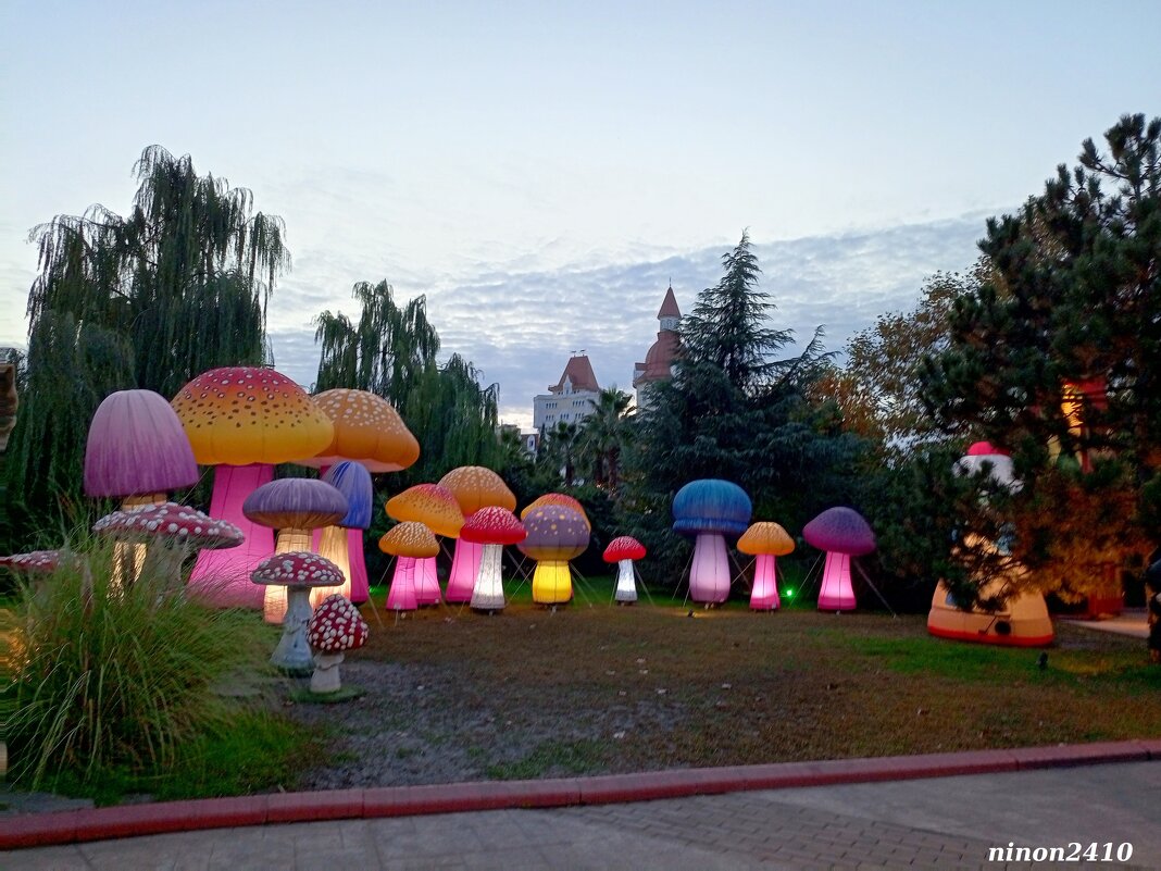 Адлер. Сочи Парк... - Нина Бутко