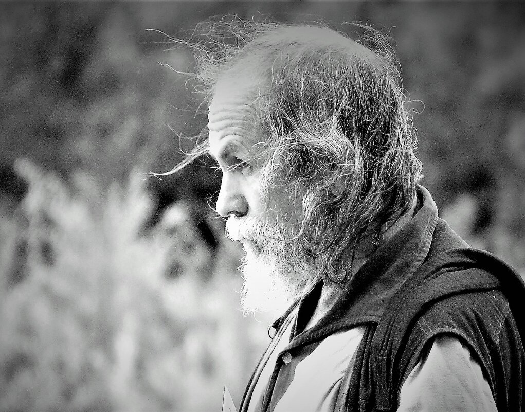 *** - Виктор Никитенко