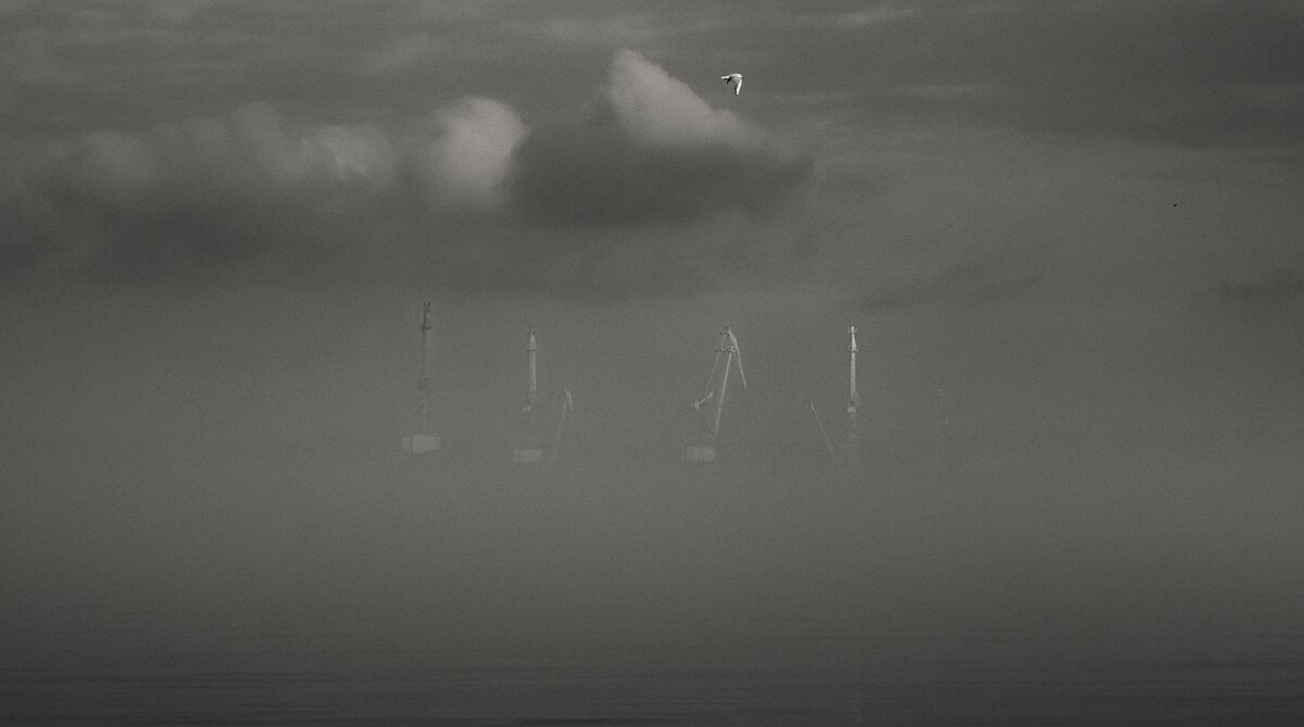 Тумана зимнего визит. - Анатолий Щербак