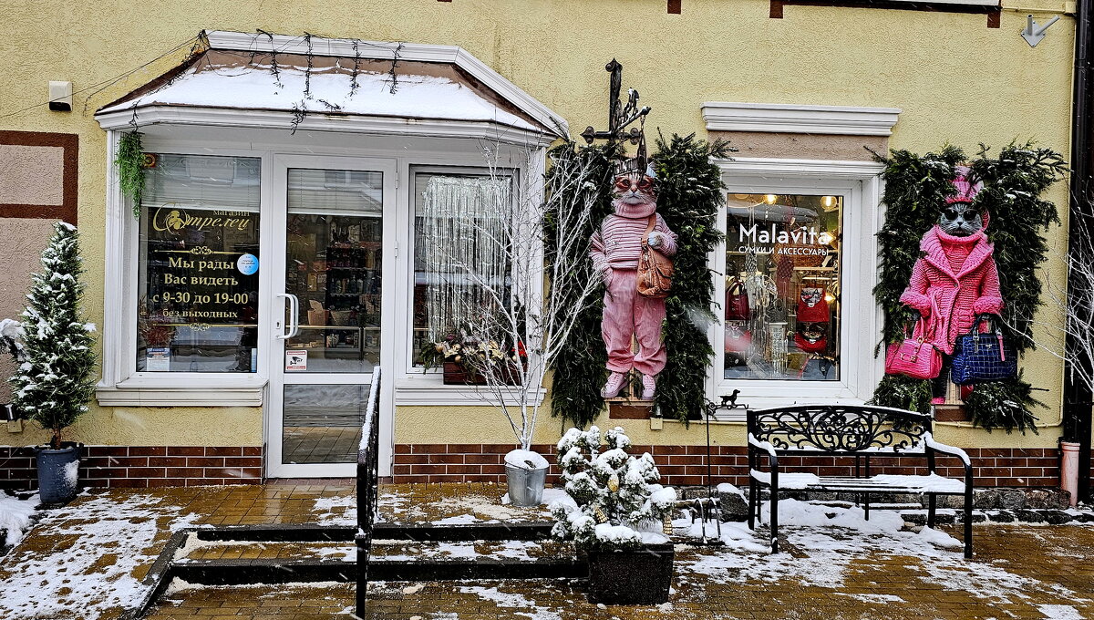 Новогодняя сказка пришла в Зеленоградск - Михаил Свиденцов