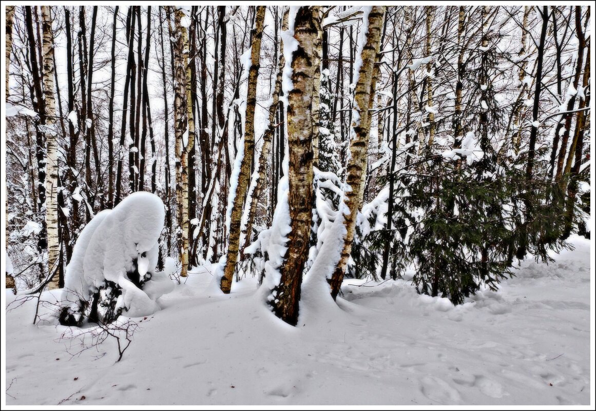 многоснежье января - Любовь 