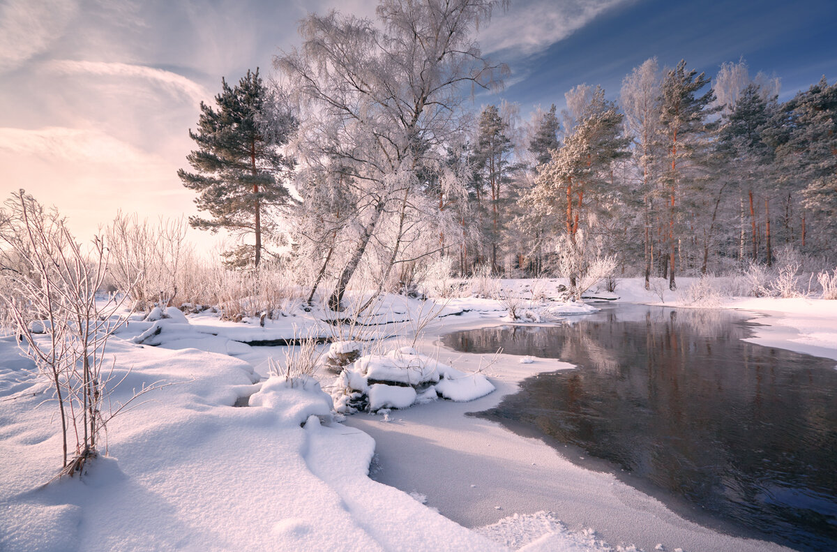 Бодрит ... - Roman Lunin