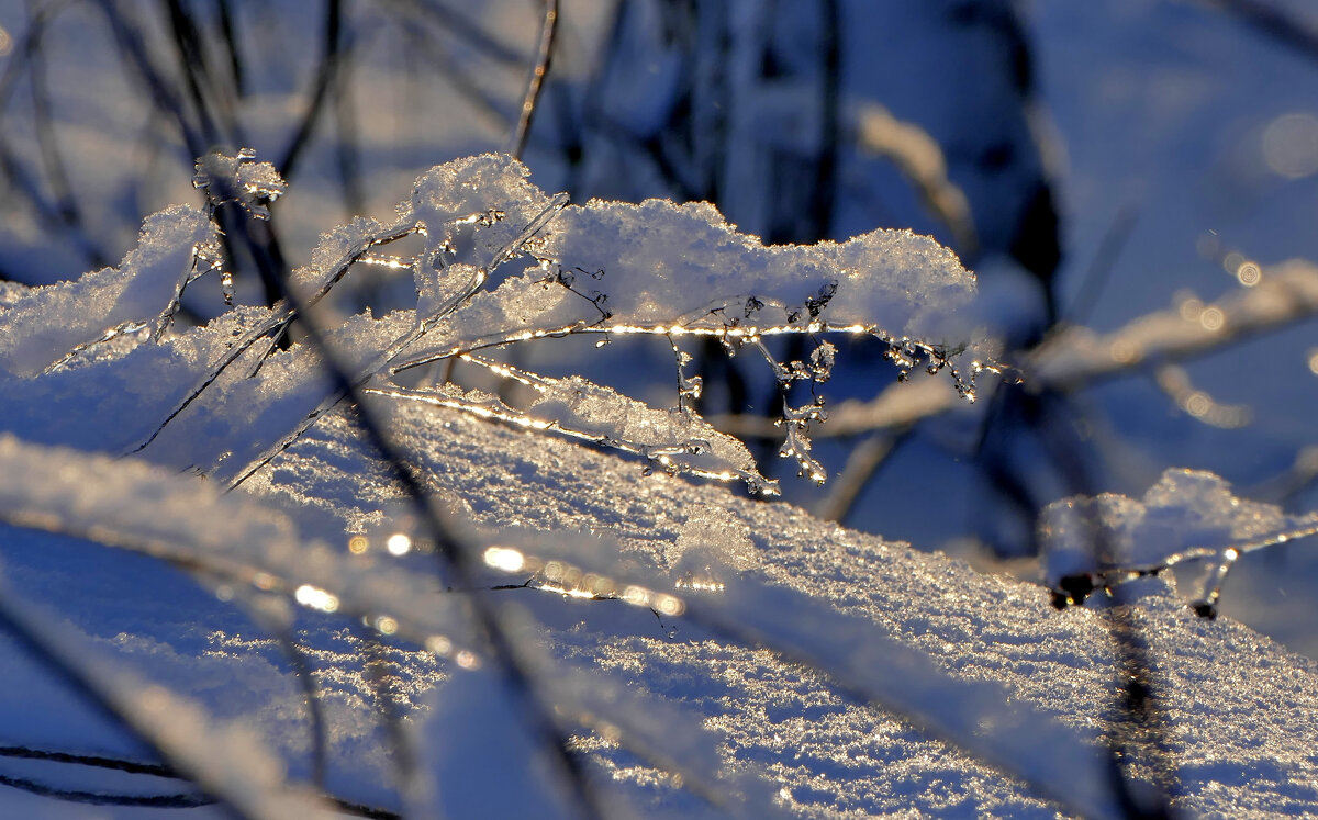 картинки января 26г. 3 - Александр Прокудин