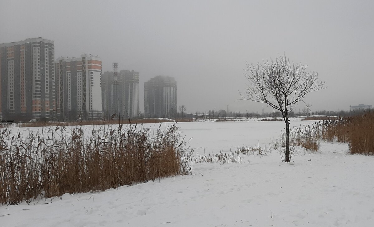 *** - Наталья Герасимова