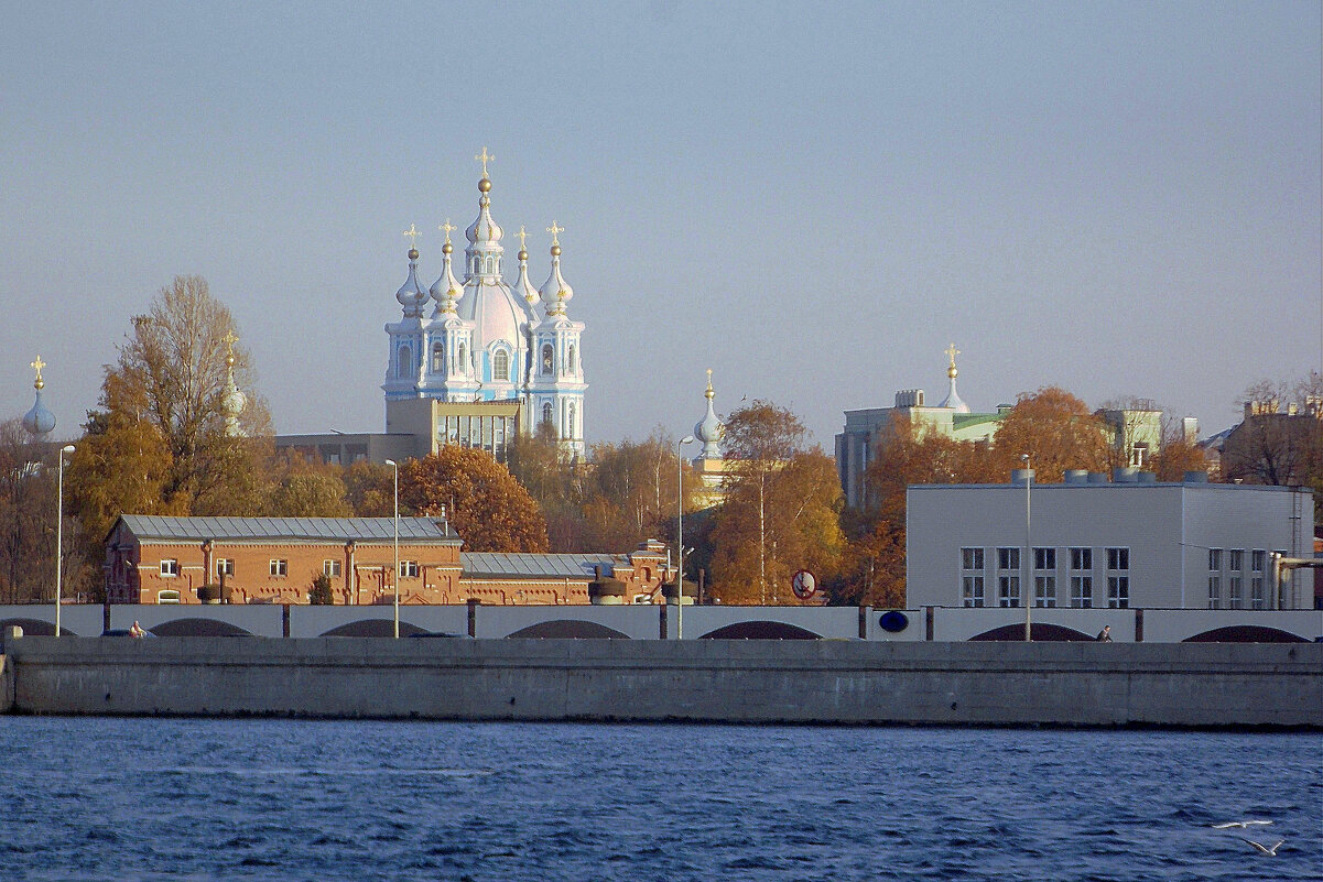 Нева, Смольный  собор  вдалеке - Фотогруппа Весна