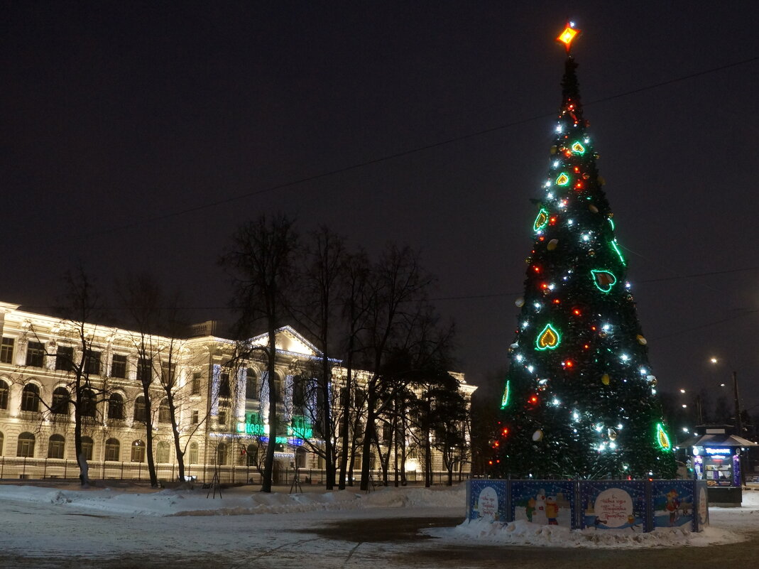 Новогодний Политех - zavitok *