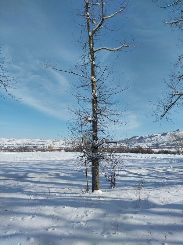 Talgar. - Murat Bukaev 