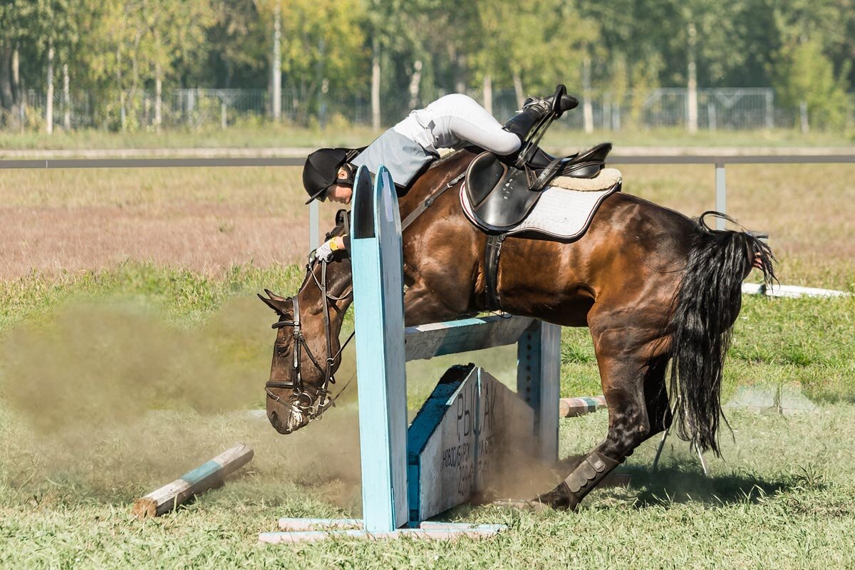 Конкур - SanSan 