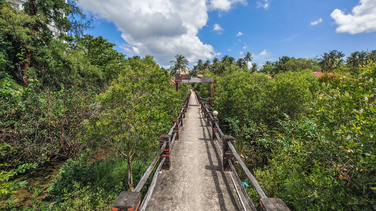 Дорога к морю - Dmitry i Mary S