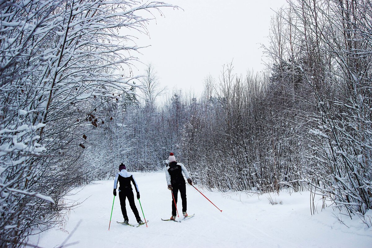 Двое в заснеженном лесу! - Владимир 