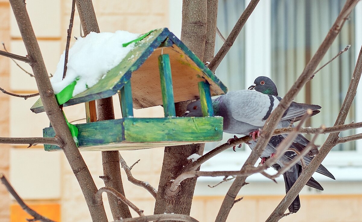 Ну, что там? Есть, что поклевать? - Валерий Иванович