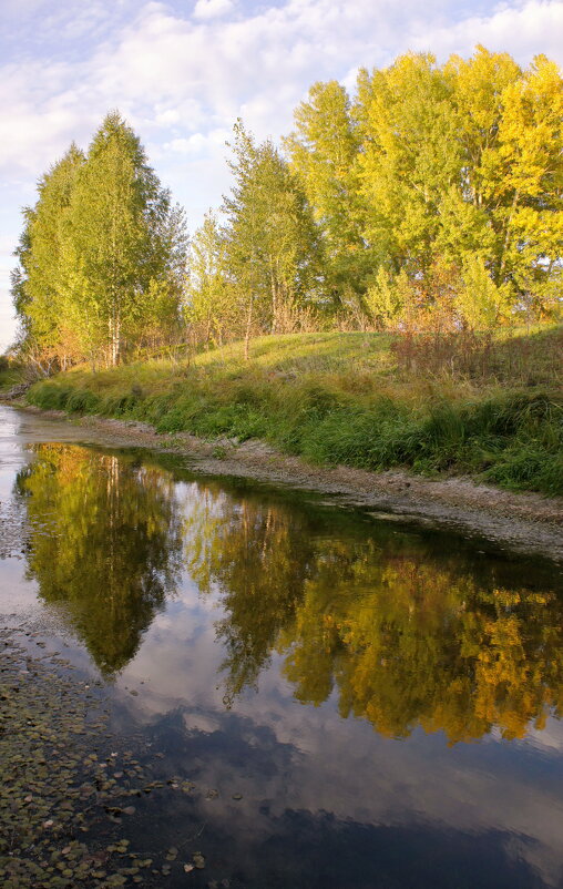 Осень с отражением. - сергей ермошкин