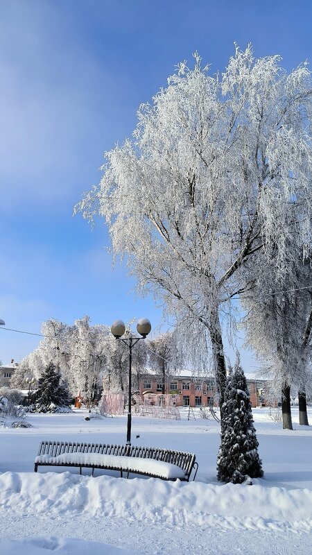 Зимние мотивы. - Ольга 