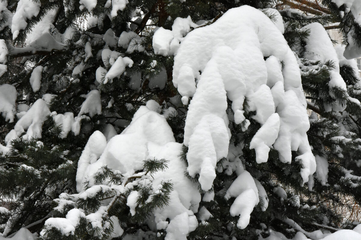 Москва. Воронцовский парк. - Наташа *****