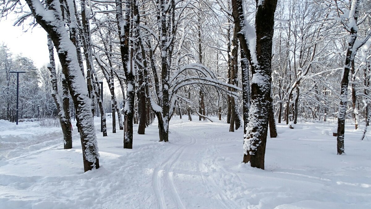 В городском парке. - Милешкин Владимир Алексеевич 