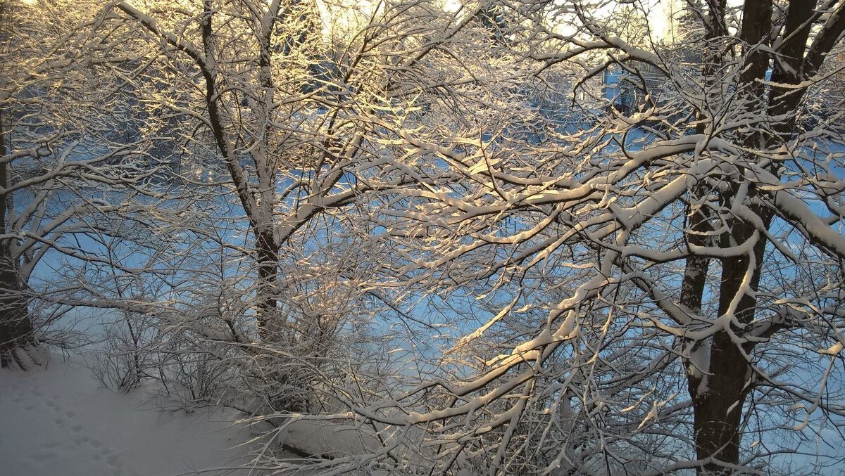 Снежная сказка - Елена Семигина