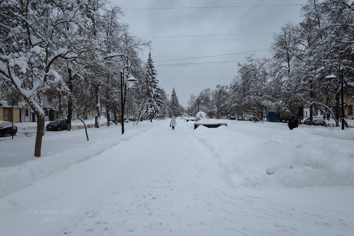 Зимняя аллея - Александр Синдерёв
