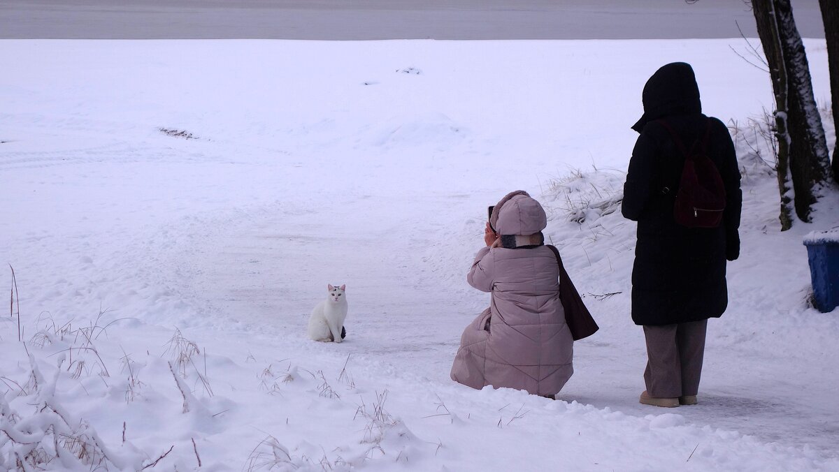 Эра милосердия... - Sergey Gordoff