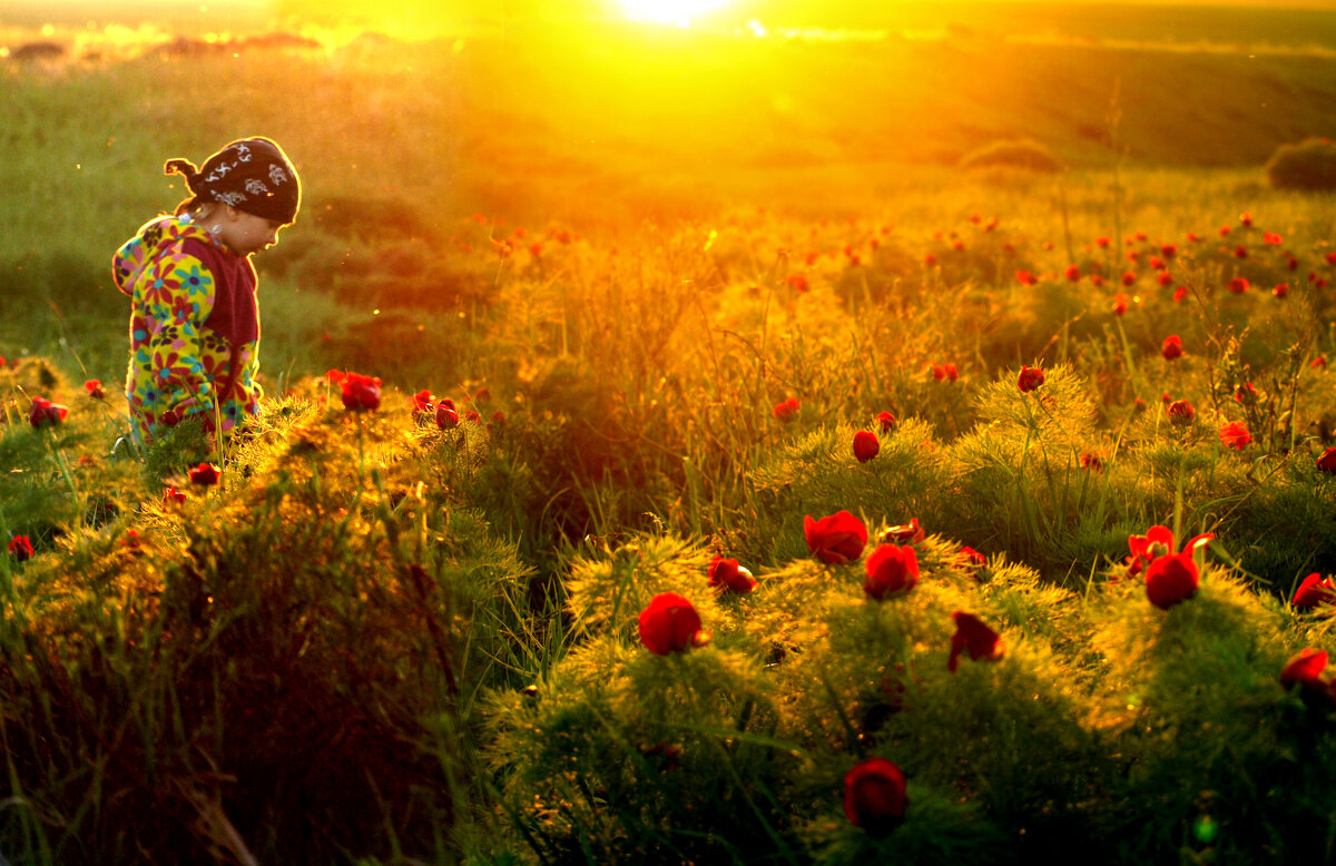 Лазоревая долина - СЮ 
