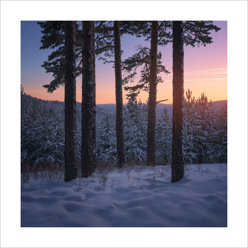 * - Александр Иванов