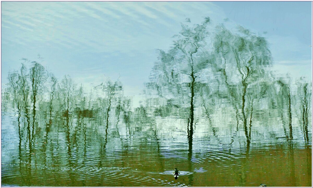 АКВА... - Elvira E. 