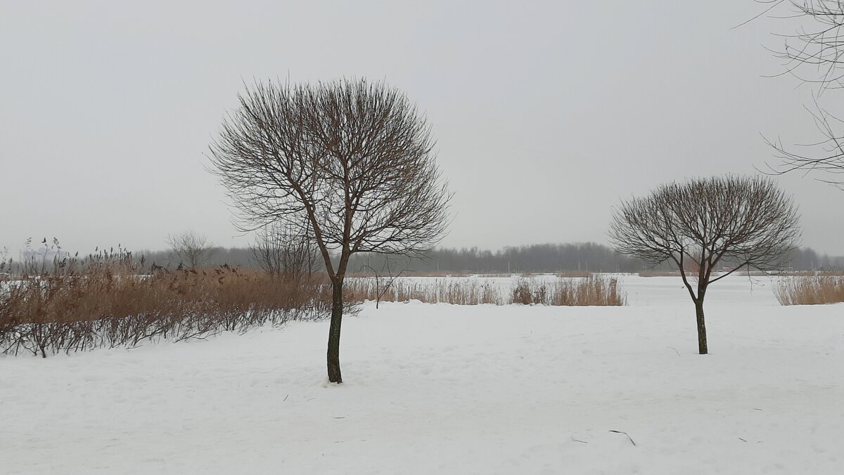 Зимний пейзаж - Наталья Герасимова