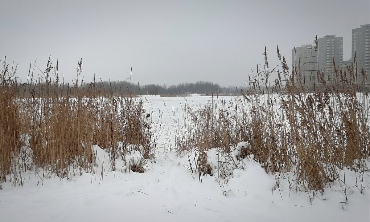 Зимний пейзаж - Наталья Герасимова