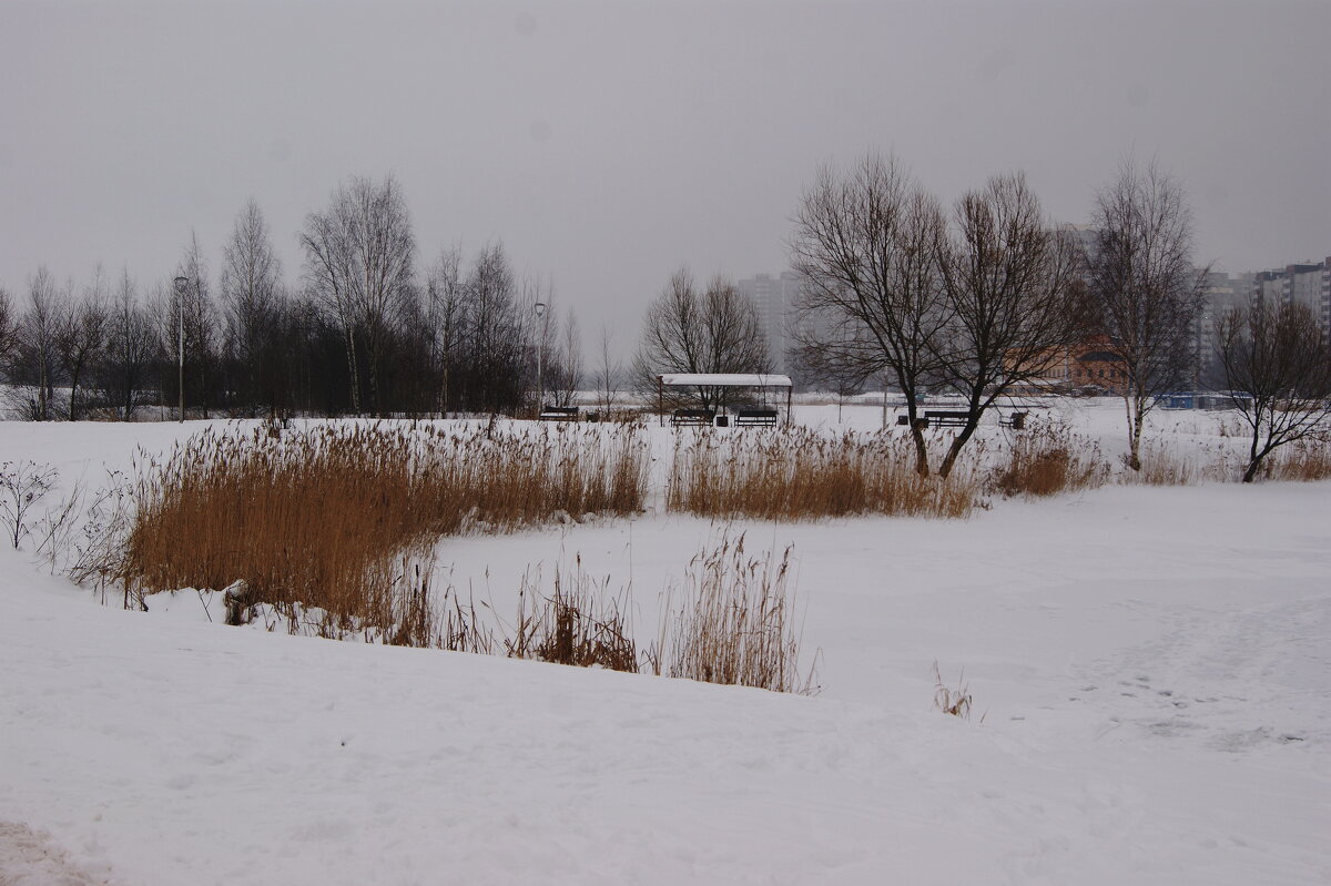 ХМУРЫЙ ДЕНЬ - Виктор Никитенко
