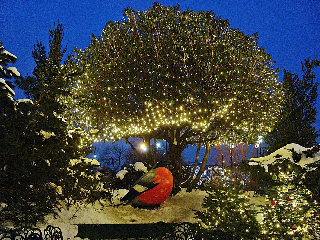 Новогодняя Москва - Лидия Бусурина