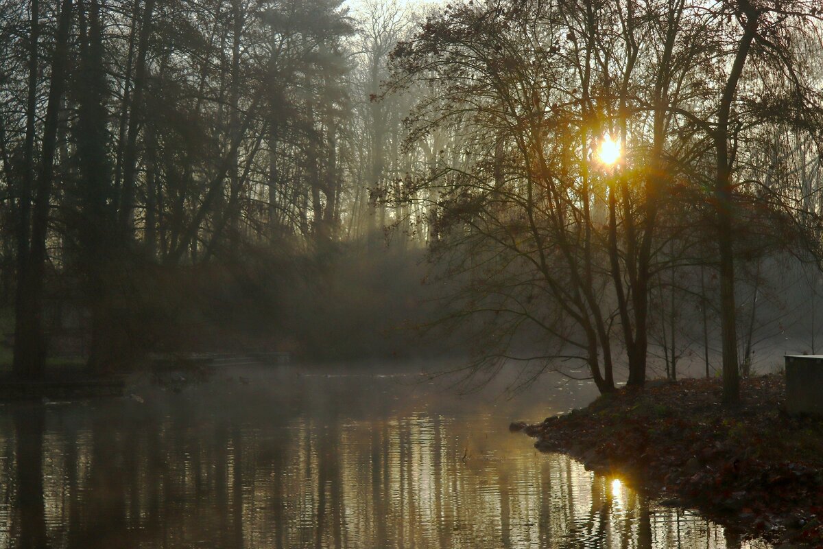 Утро декабря - Юрий. Шмаков