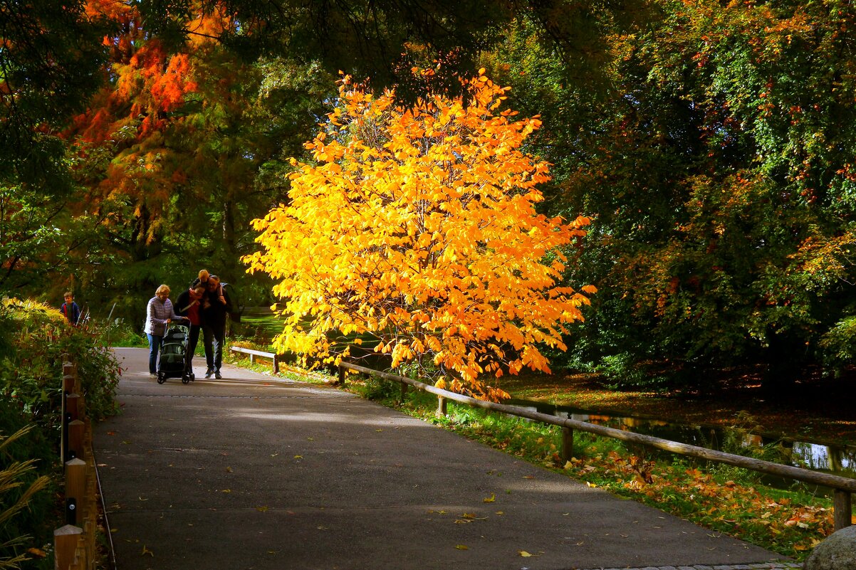 Октябрьским днём - Юрий. Шмаков