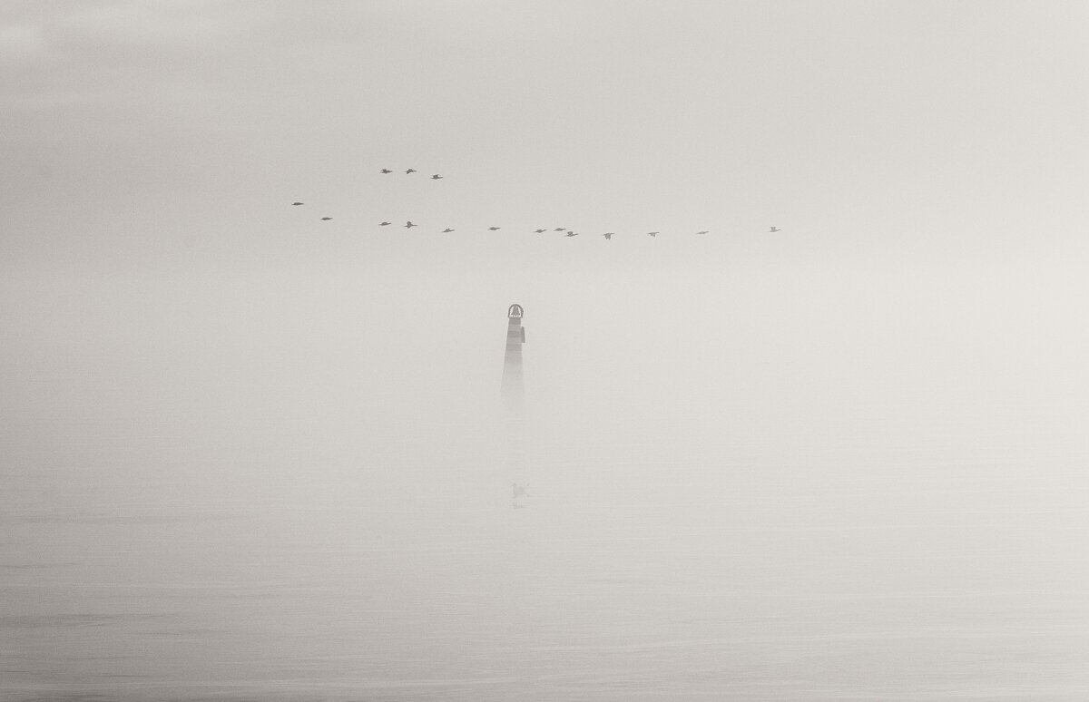 Полёт. - Анатолий Щербак